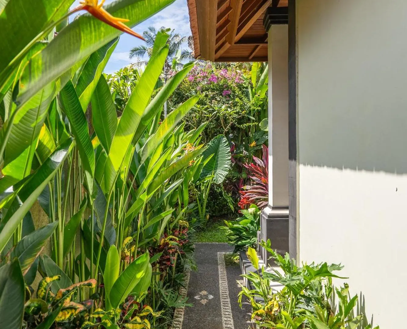 3 Beagle Hotel Ubud  Guest house
