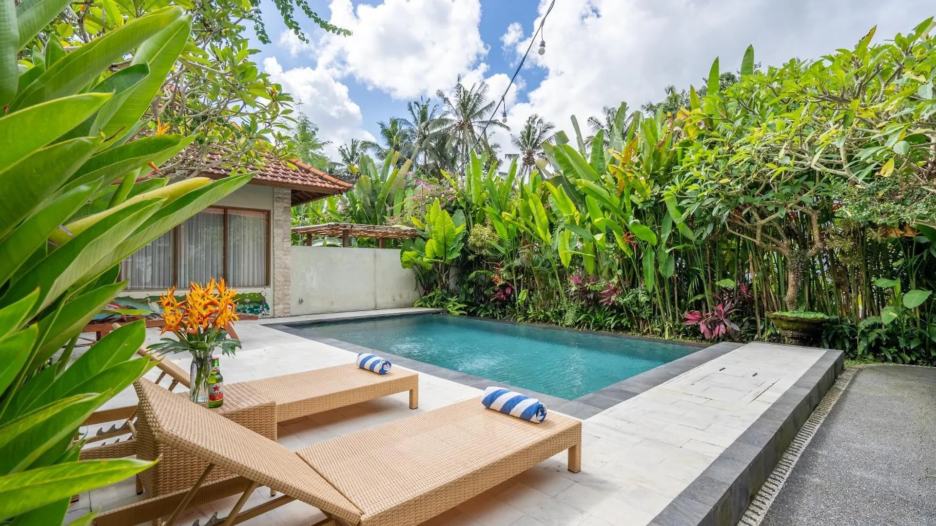 3 Beagle Hotel Ubud Casa de hóspedes